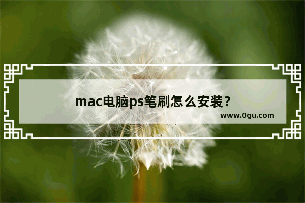 mac电脑ps笔刷怎么安装？