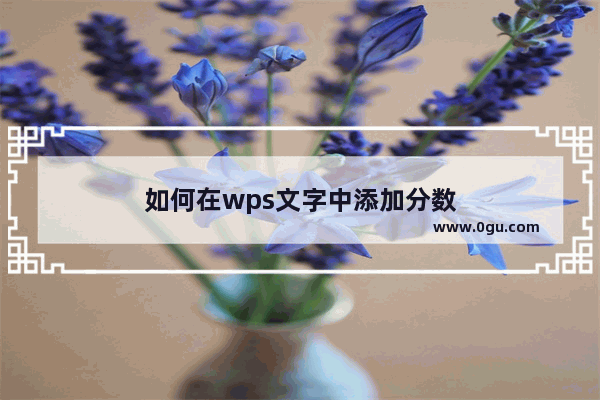 如何在wps文字中添加分数