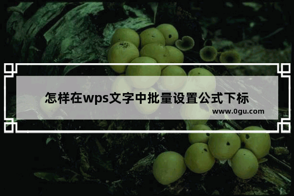 怎样在wps文字中批量设置公式下标