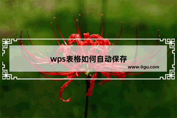 wps表格如何自动保存