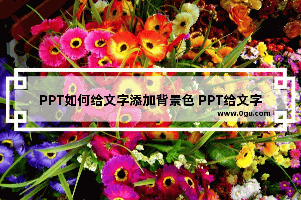 PPT如何给文字添加背景色 PPT给文字添加背景色的方法