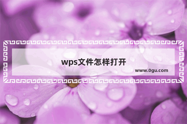 wps文件怎样打开