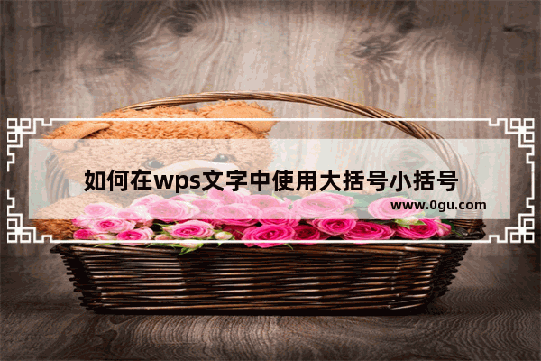 如何在wps文字中使用大括号小括号