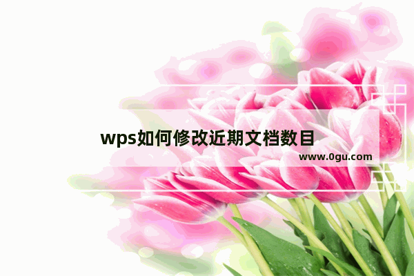 wps如何修改近期文档数目