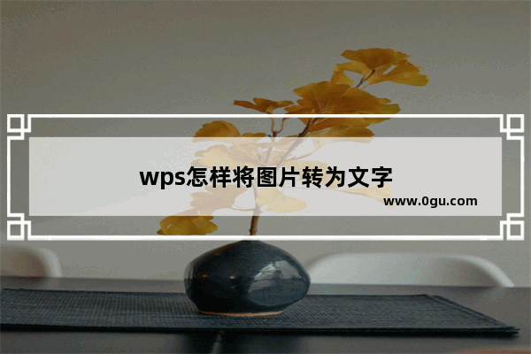 wps怎样将图片转为文字