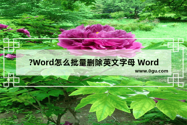 ?Word怎么批量删除英文字母 Word文档删除全部英文内容的方法教程