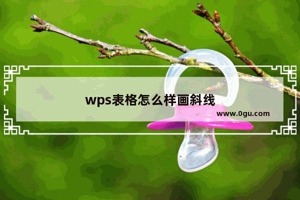 wps表格怎么样画斜线