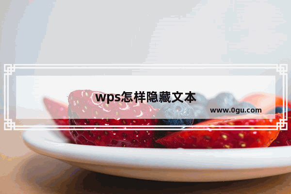 wps怎样隐藏文本