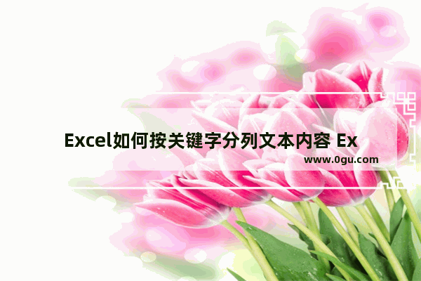 Excel如何按关键字分列文本内容 Excel按关键字分列文本内容的方法