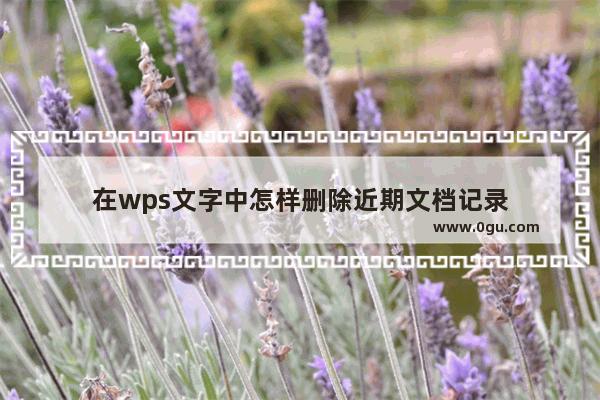 在wps文字中怎样删除近期文档记录