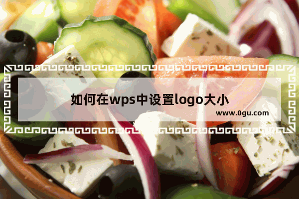 如何在wps中设置logo大小