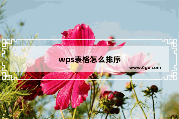 wps表格怎么排序