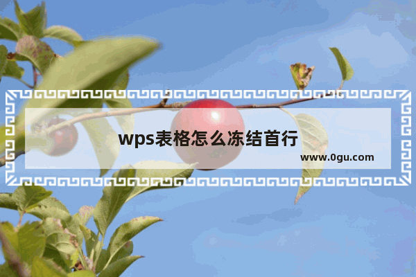 wps表格怎么冻结首行