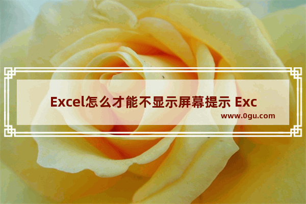 Excel怎么才能不显示屏幕提示 Excel不显示屏幕提示的方法