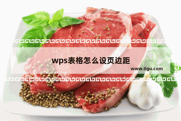 wps表格怎么设页边距