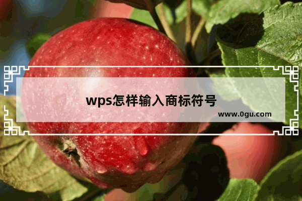 wps怎样输入商标符号