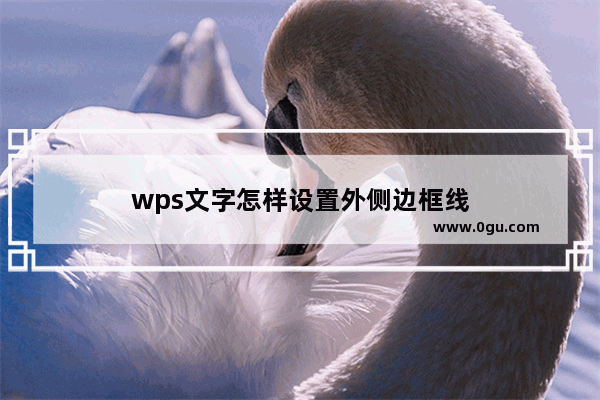 wps文字怎样设置外侧边框线