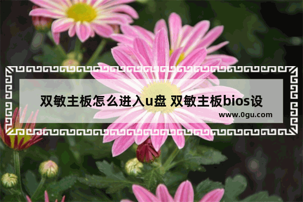 双敏主板怎么进入u盘 双敏主板bios设置硬盘启动