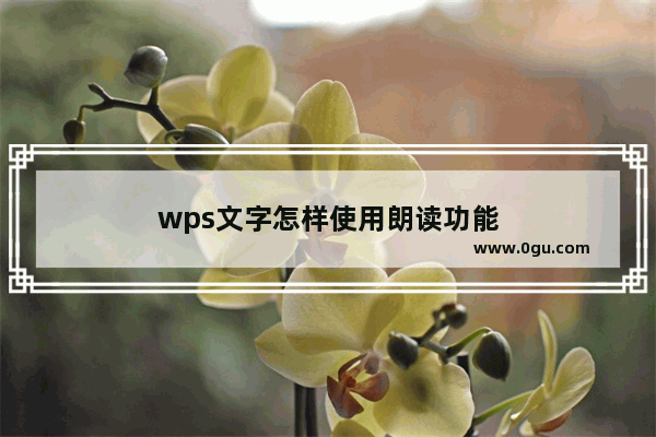 wps文字怎样使用朗读功能