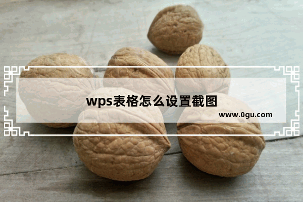 wps表格怎么设置截图