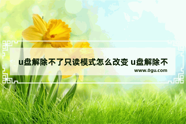 u盘解除不了只读模式怎么改变 u盘解除不了只读模式怎么改变内容