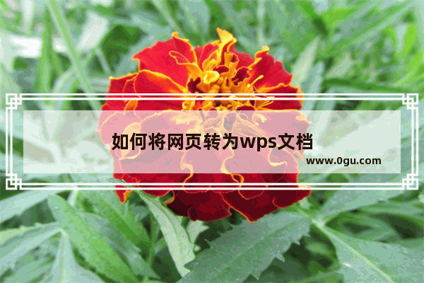 如何将网页转为wps文档