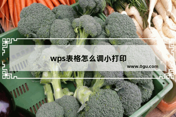 wps表格怎么调小打印