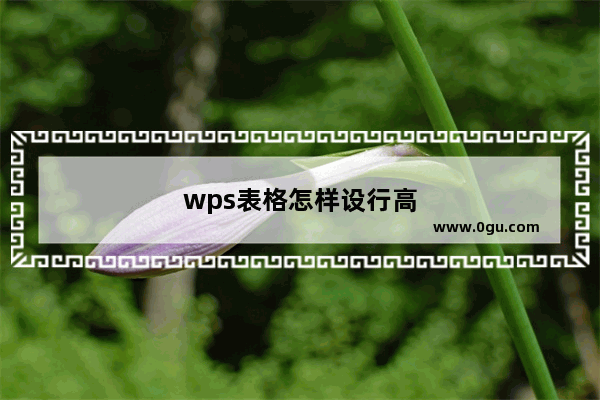 wps表格怎样设行高