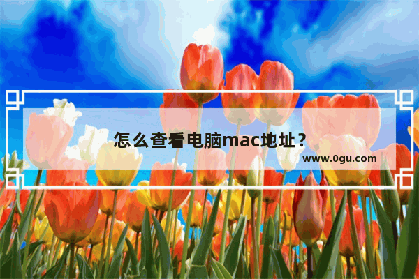 怎么查看电脑mac地址？