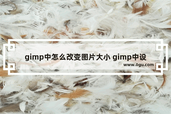 gimp中怎么改变图片大小 gimp中设置压缩图片的方法