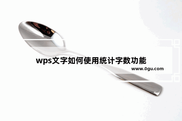 wps文字如何使用统计字数功能