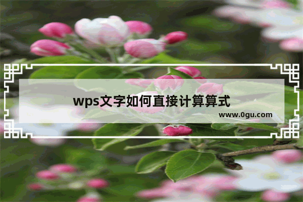 wps文字如何直接计算算式