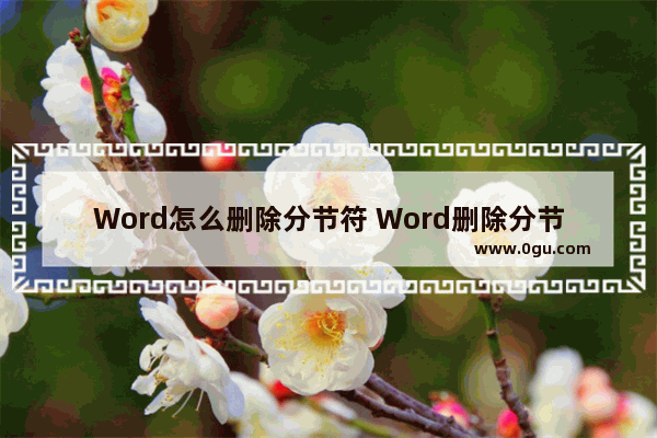 Word怎么删除分节符 Word删除分节符的方法