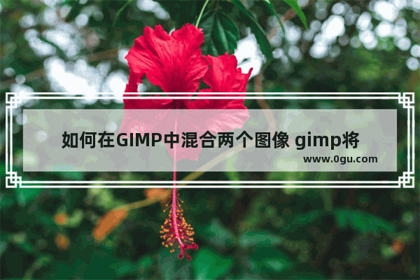 如何在GIMP中混合两个图像 gimp将两张图片合并为一张的方法教程