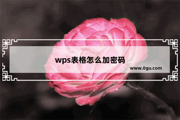 wps表格怎么加密码