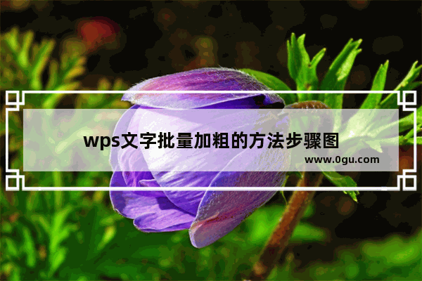 wps文字批量加粗的方法步骤图