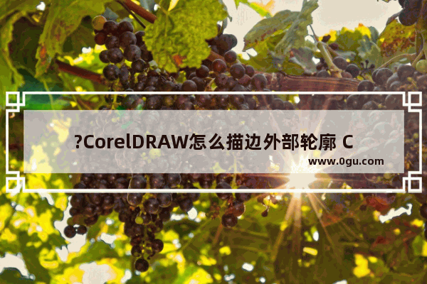 ?CorelDRAW怎么描边外部轮廓 CDR软件在文字外圈描边的方法教程