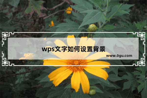 wps文字如何设置背景