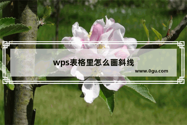 wps表格里怎么画斜线