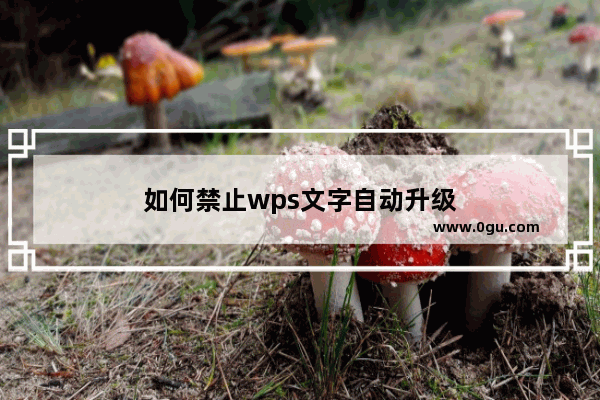 如何禁止wps文字自动升级