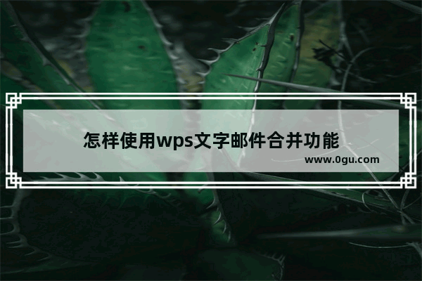 怎样使用wps文字邮件合并功能