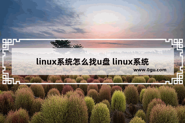 linux系统怎么找u盘 linux系统怎么u盘启动