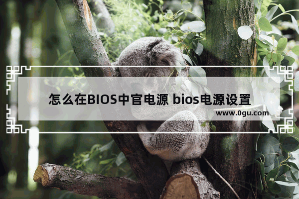 怎么在BIOS中官电源 bios电源设置在哪