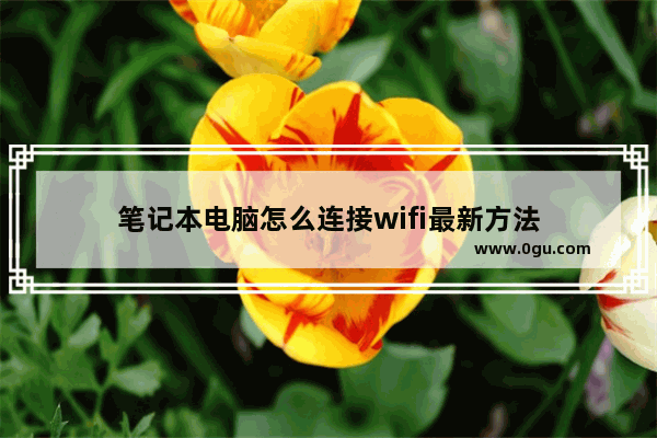 笔记本电脑怎么连接wifi最新方法