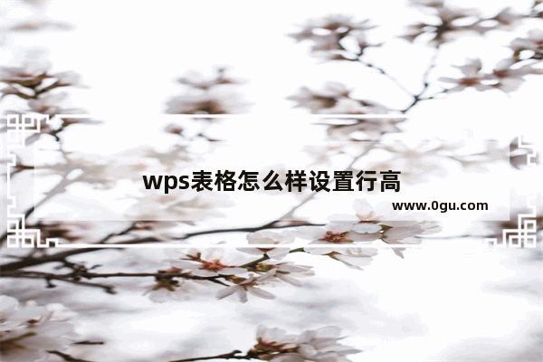 wps表格怎么样设置行高