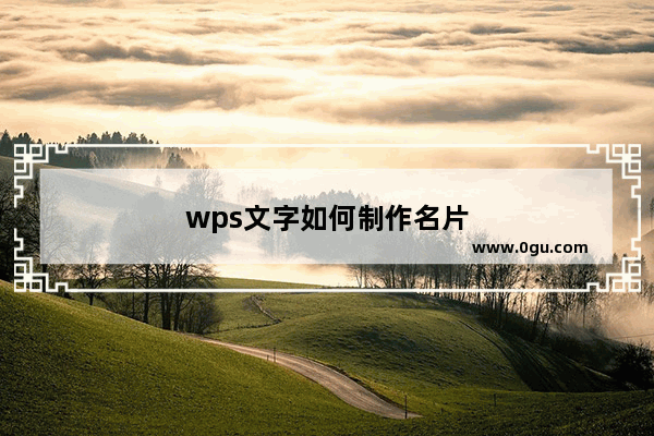 wps文字如何制作名片