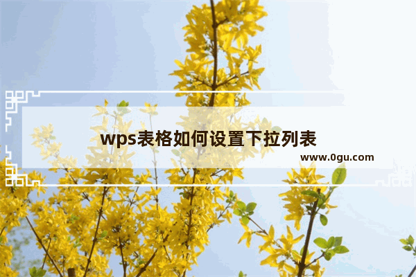 wps表格如何设置下拉列表