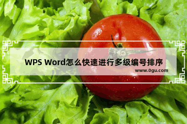 WPS Word怎么快速进行多级编号排序 WPS Word设置进行多级编号的方法