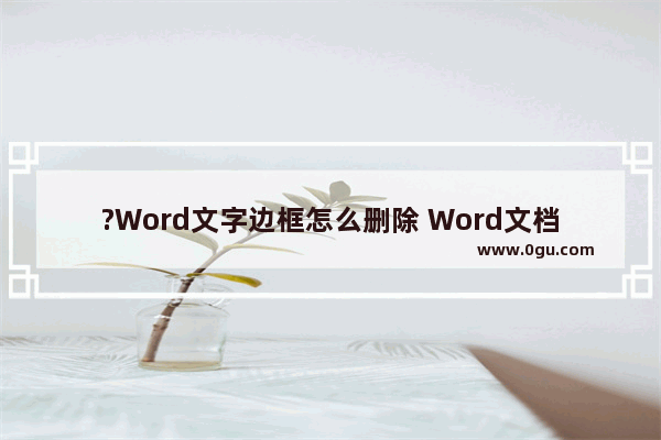 ?Word文字边框怎么删除 Word文档去掉边框的方法教程