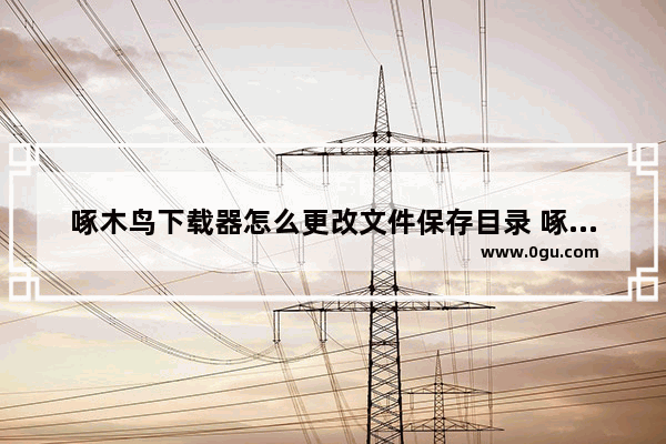 啄木鸟下载器怎么更改文件保存目录 啄木鸟下载器更改文件保存目录的方法